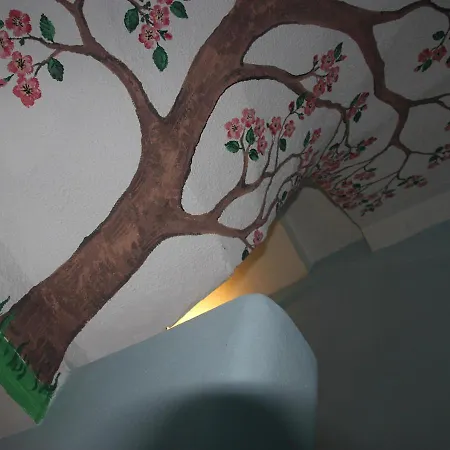 Sultanahmet Sah Hotel