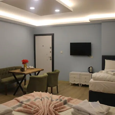 Sultanahmet Sah Hotel Hotel 3*